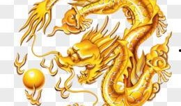 爆料五爪金龙视频大全最新